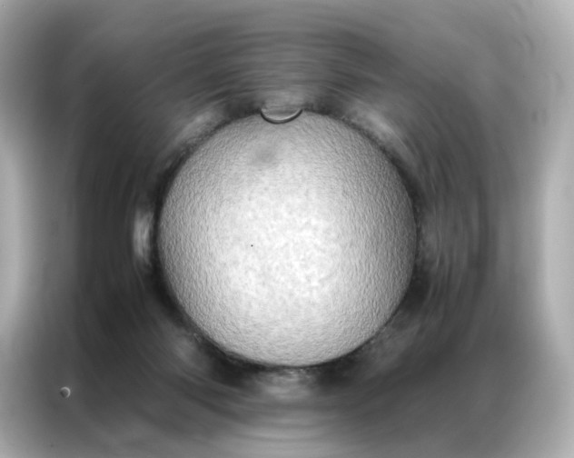 X0000086940118200704301145