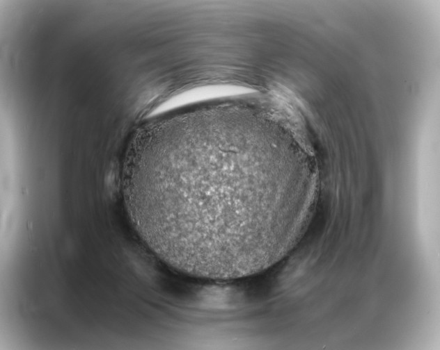 X0000086940119200704301145