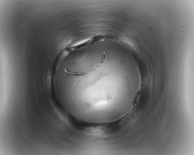 X0000086940120200704301145