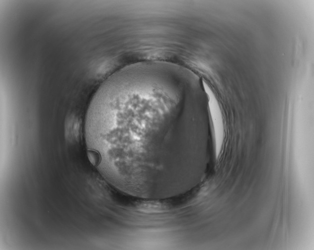 X0000086940123200704301145