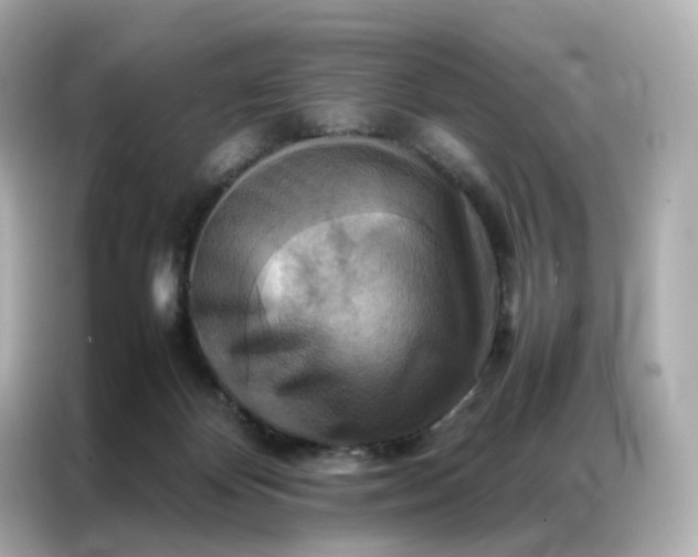 X0000086940124200704301145