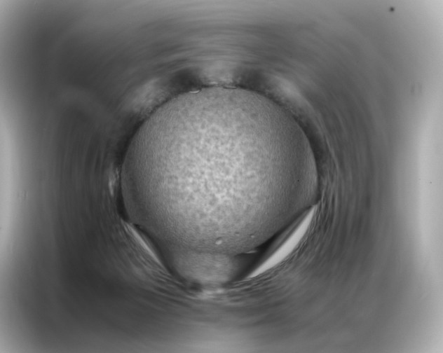 X0000086940125200704301145