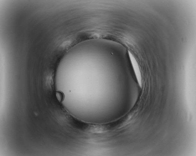 X0000086940127200704301145