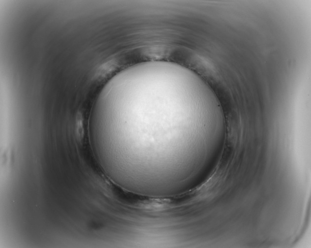 X0000086940128200704301145