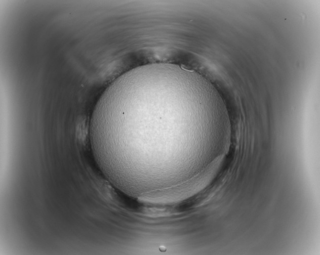 X0000086940129200704301145