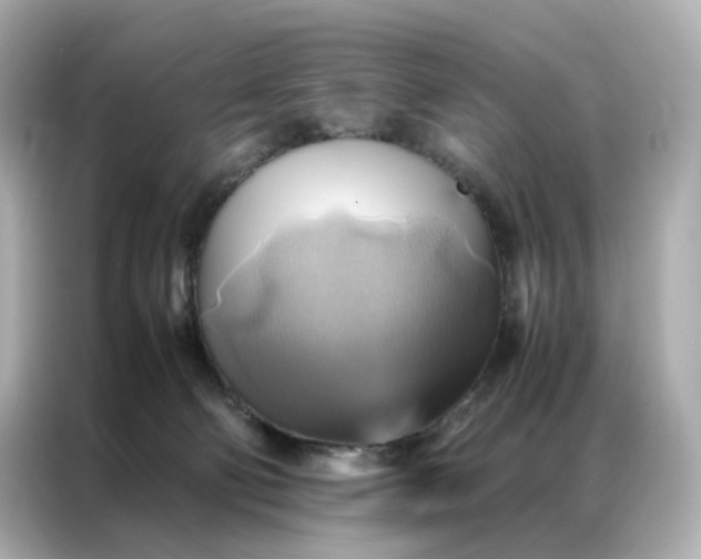 X0000086940130200704301145