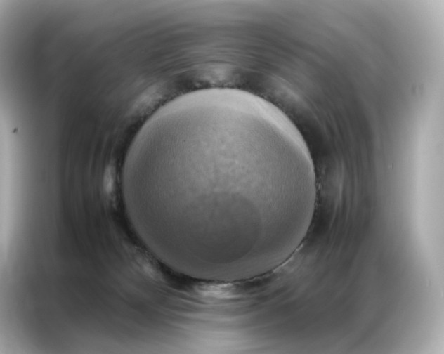 X0000086940132200704301145