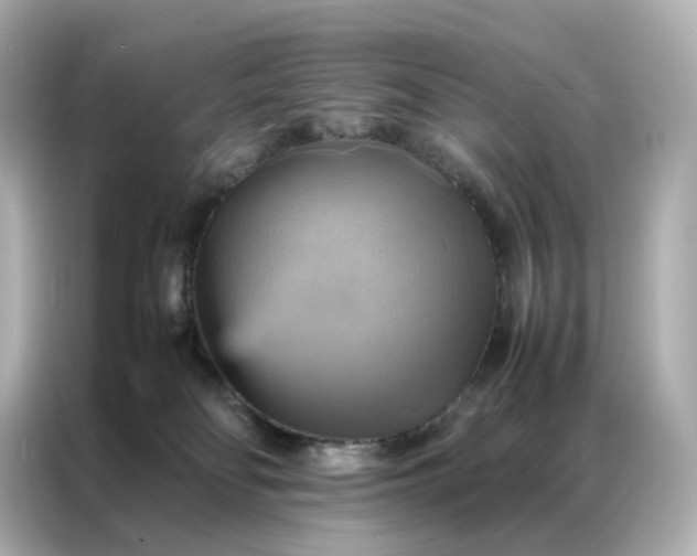 X0000086940134200704301145