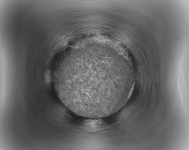 X0000086940135200704301145