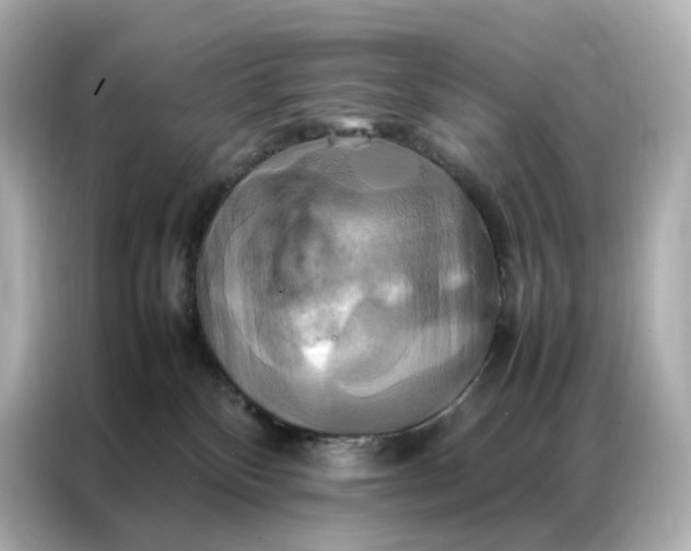 X0000086940136200704301145