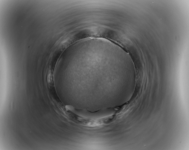 X0000086940137200704301145