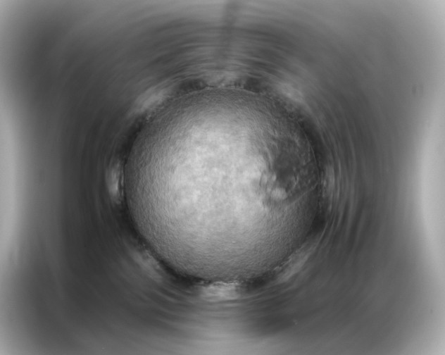 X0000086940138200704301145