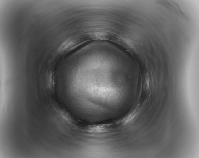 X0000086940140200704301144