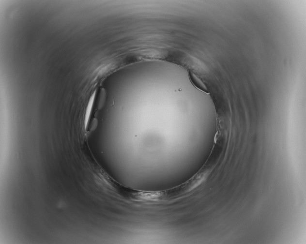 X0000086940143200704301144