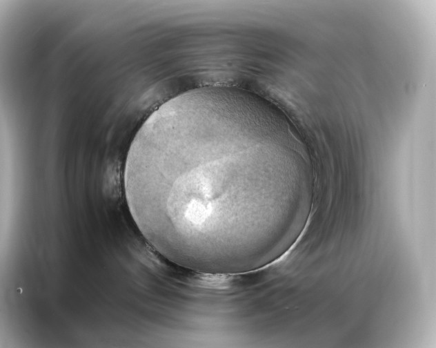 X0000086940144200704301144