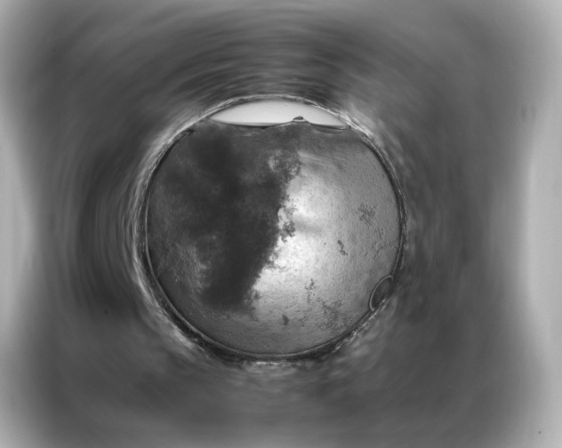 X0000086940145200704301144