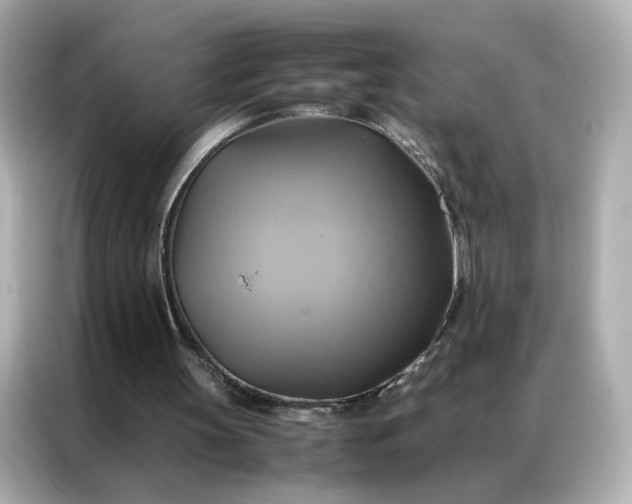 X0000086940147200704301144