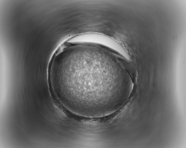 X0000086940148200704301144