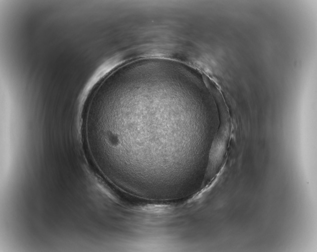 X0000086940150200704301144