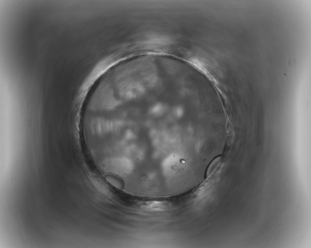 X0000086940151200704301144