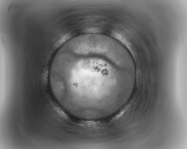 X0000086940153200704301144