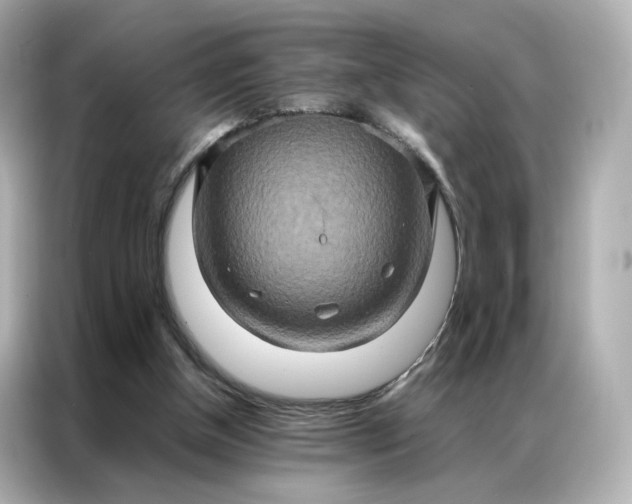 X0000086940154200704301144