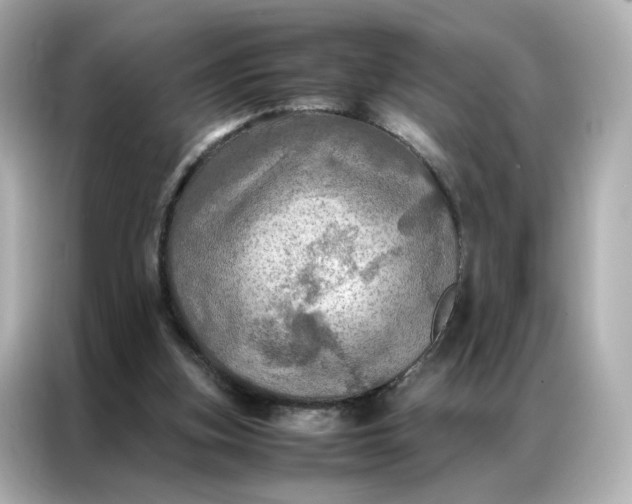 X0000086940155200704301144