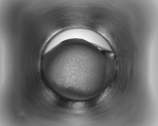 X0000086940156200704301144