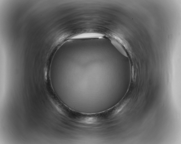 X0000086940157200704301144