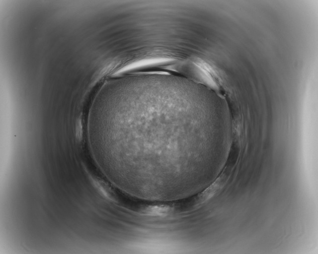 X0000086940158200704301144