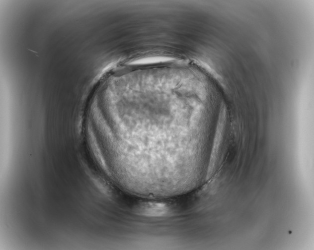 X0000086940159200704301144