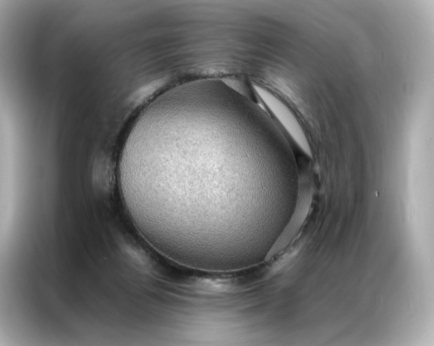 X0000086940164200704301144