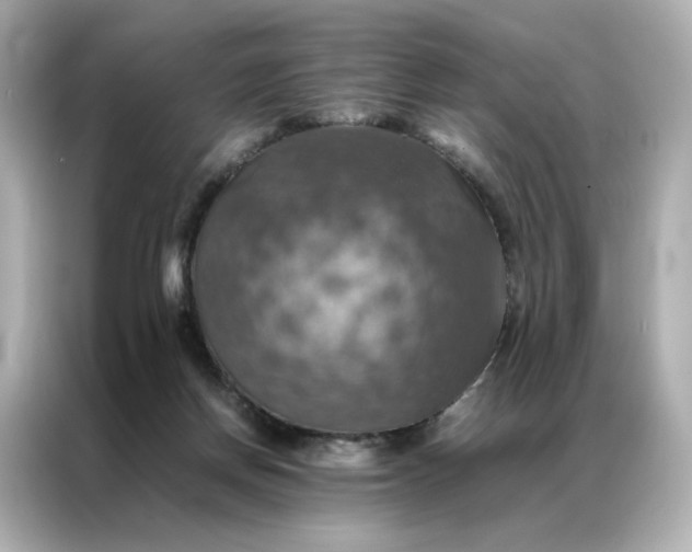 X0000086940166200704301144