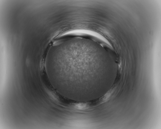 X0000086940168200704301144