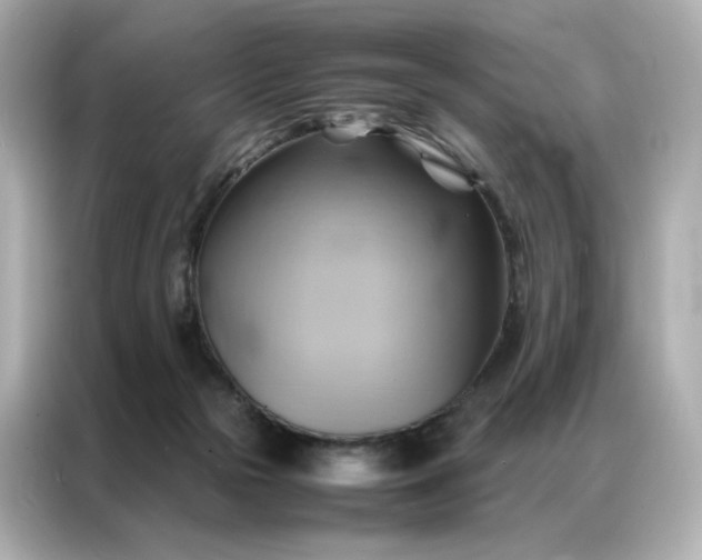 X0000086940169200704301144