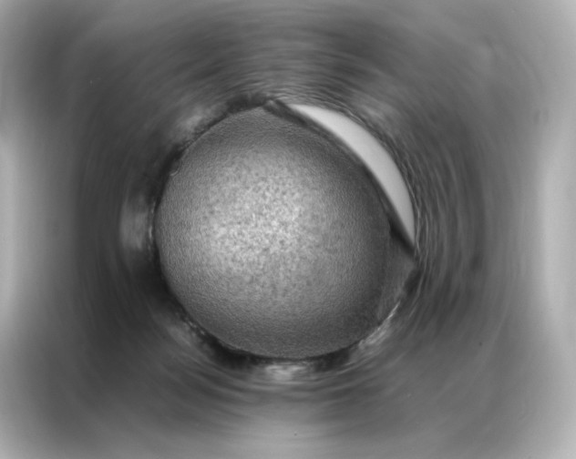 X0000086940172200704301144