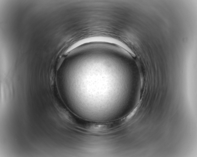 X0000086940174200704301144