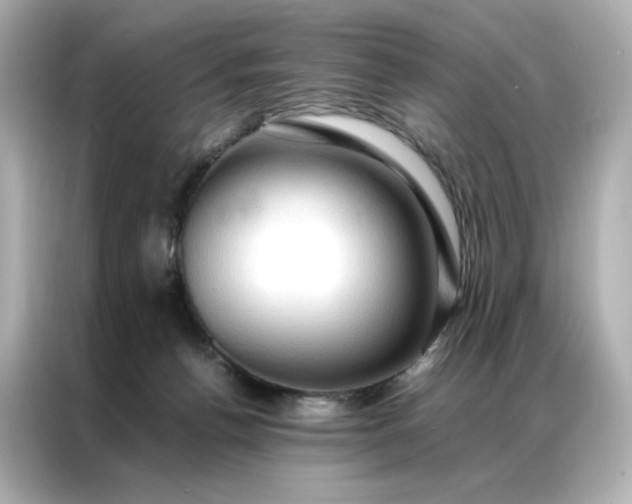 X0000086940176200704301144