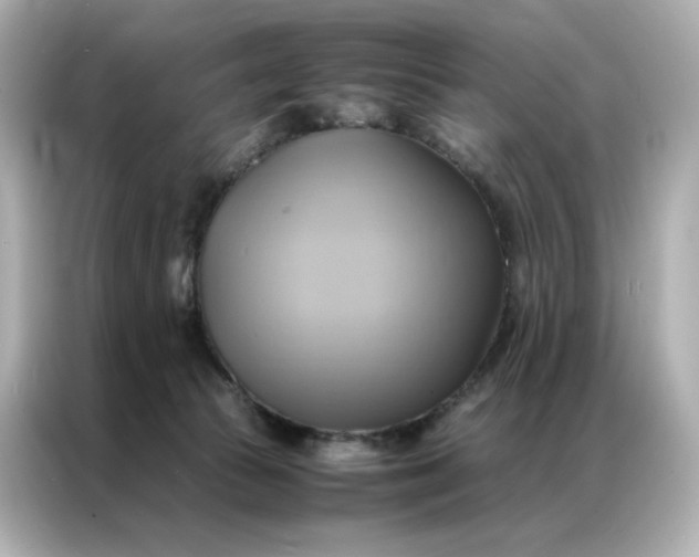 X0000086940177200704301144