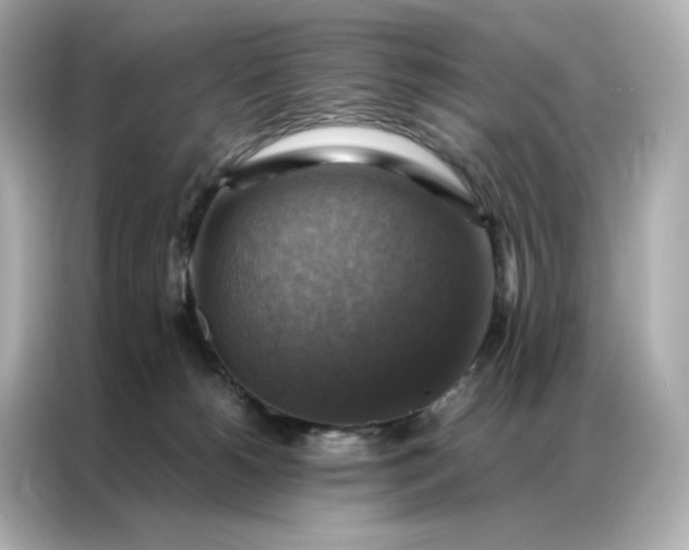 X0000086940180200704301144