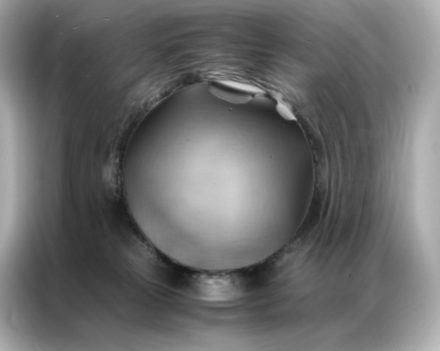 X0000086940181200704301144