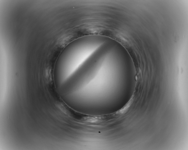 X0000086940182200704301144