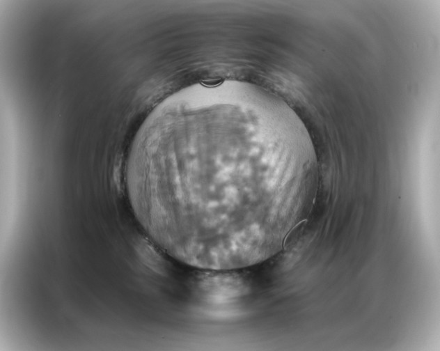 X0000086940185200704301144