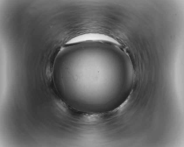 X0000086940186200704301144