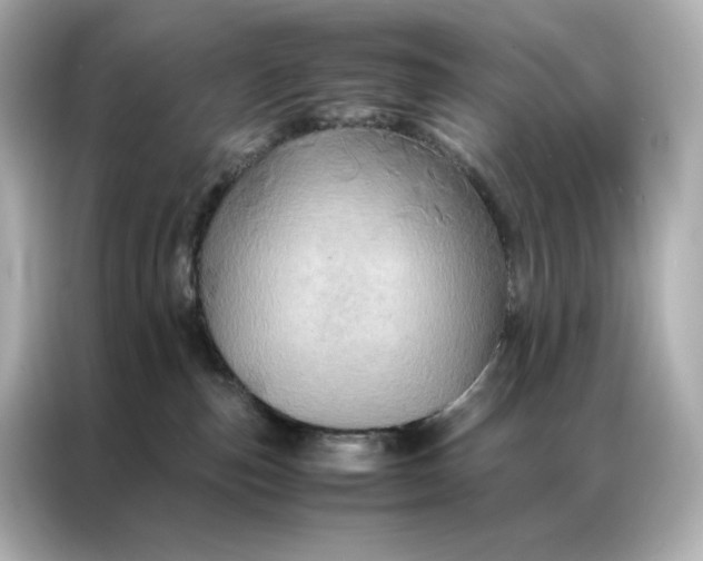 X0000086940187200704301144