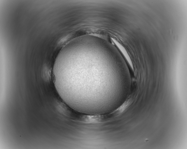 X0000086940188200704301144