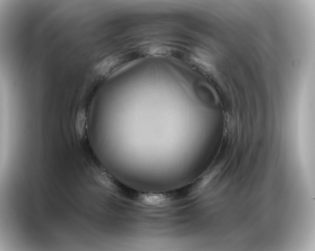 X0000086940189200704301144