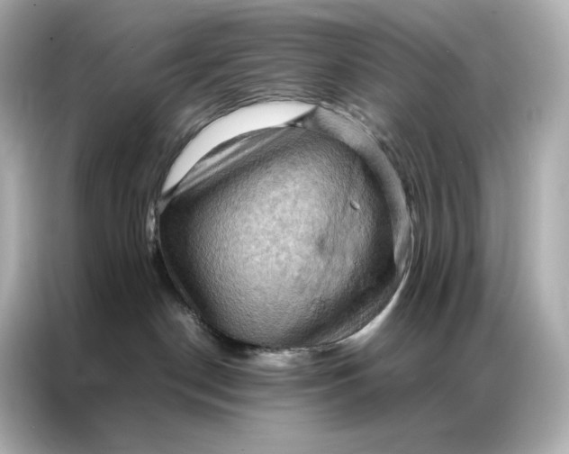 X0000086940190200704301144