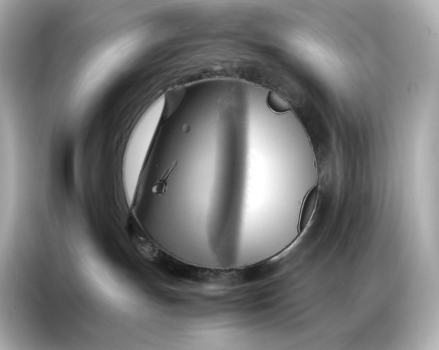 X0000086940191200704301144