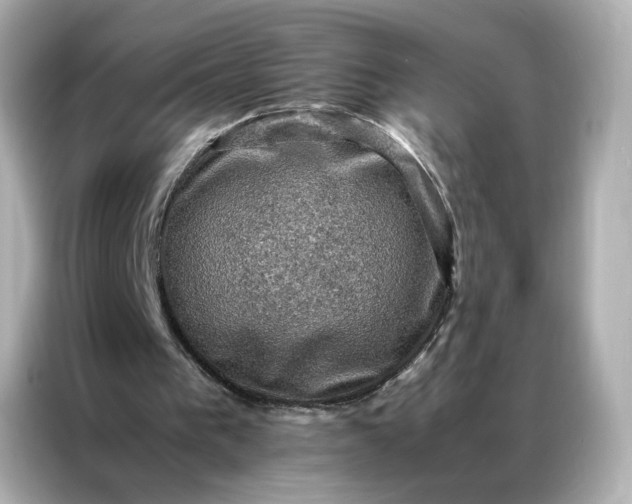 X0000086940193200704301144